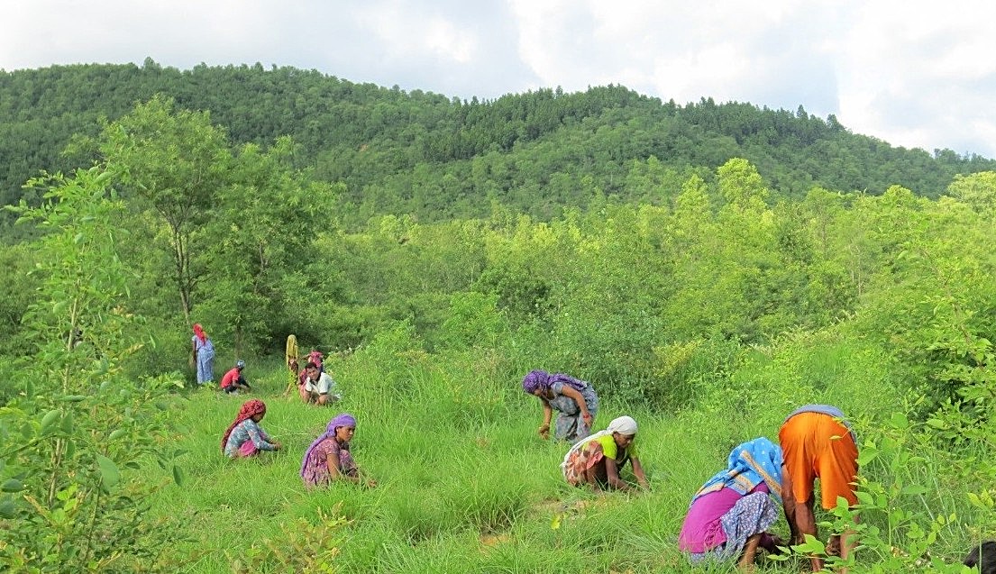 Climate and Environment