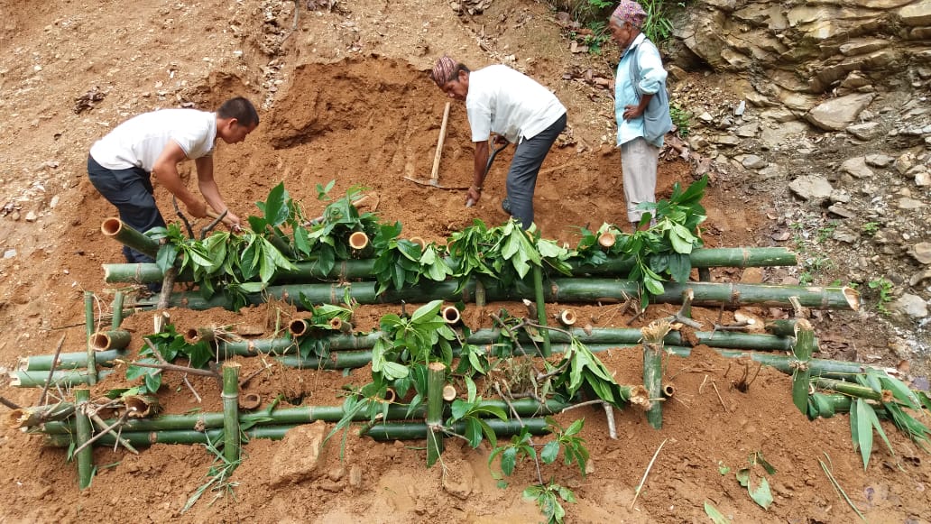 Disaster Risk & Resilience