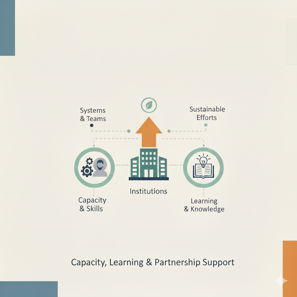 Capacity, Knowledge & Partnership